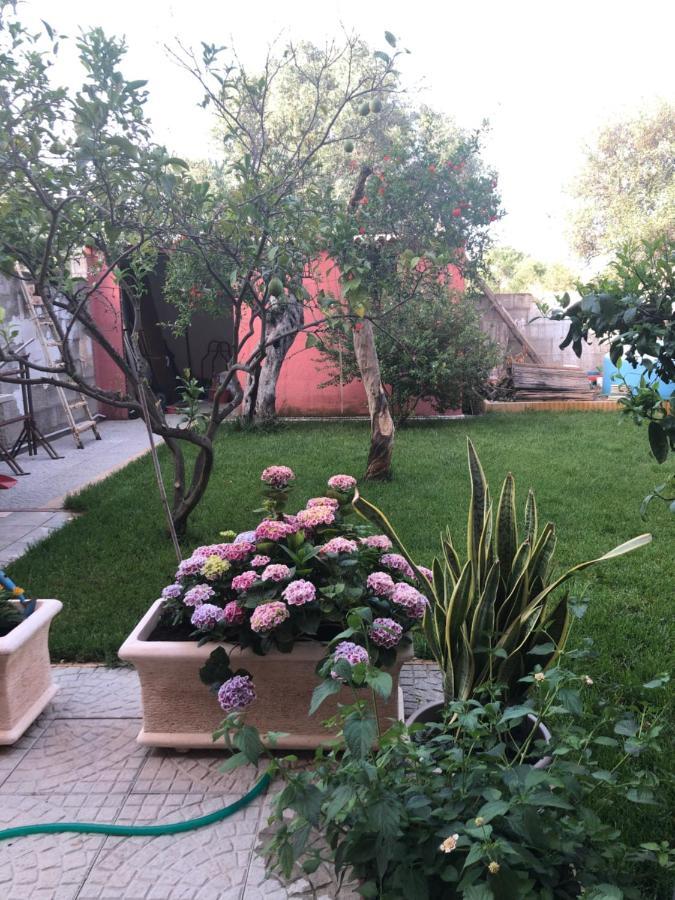 Paese Museo Apartment San Sperate Luaran gambar